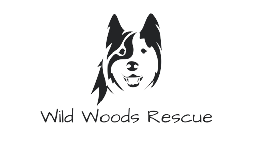 Wild Woods Rescue Willow Mahoney